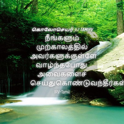Picture 04 - கொலோசெயர் 3:7 TAMIRV - நீங்களும் - Bible Verse Picture