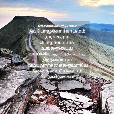 Picture 04 - கொலோசெயர் 3:8 TAMIRV - இப்பொழுதோ கோபமும் - Bible Verse Picture