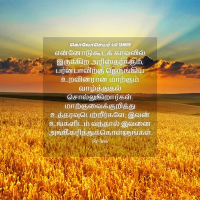 Picture 04 - கொலோசெயர் 4:10 TAMIRV - என்னோடுகூடக் - Bible Verse Picture