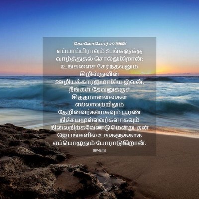 Picture 04 - கொலோசெயர் 4:12 TAMIRV - எப்பாப்பிராவும் - Bible Verse Picture