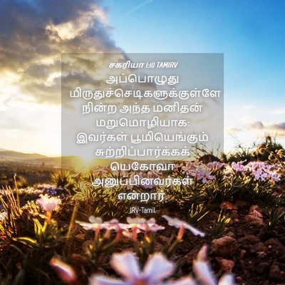 Picture 04 - சகரியா 1:10 TAMIRV - அப்பொழுது - Bible Verse Picture