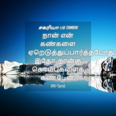 Picture 04 - சகரியா 1:18 TAMIRV - நான் என் கண்களை - Bible Verse Picture