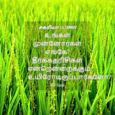 Picture 04 - சகரியா 1:5 TAMIRV - உங்கள் - Bible Verse Picture