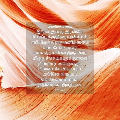 Picture 04 - சகரியா 1:8 TAMIRV - இதோ, இன்று இரவிலே - Bible Verse Picture