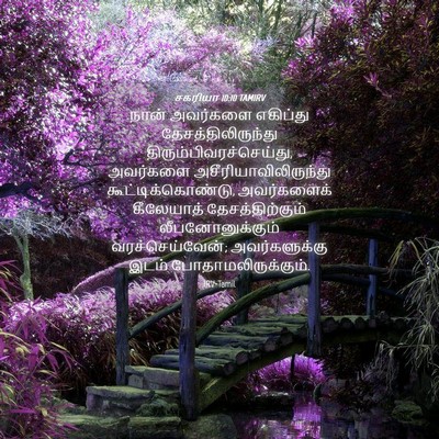 Picture 04 - சகரியா 10:10 TAMIRV - நான் அவர்களை - Bible Verse Picture