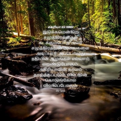 Picture 04 - சகரியா 10:11 TAMIRV - இடுக்கமென்கிற - Bible Verse Picture