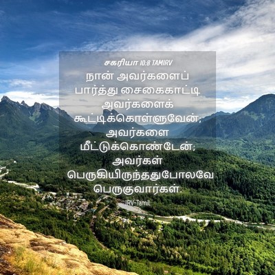 Picture 04 - சகரியா 10:8 TAMIRV - நான் அவர்களைப் - Bible Verse Picture