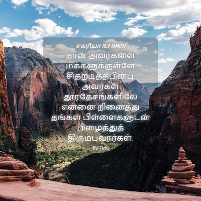 Picture 04 - சகரியா 10:9 TAMIRV - நான் அவர்களை - Bible Verse Picture