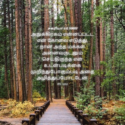 Picture 04 - சகரியா 11:10 TAMIRV - அநுக்கிரகம் - Bible Verse Picture
