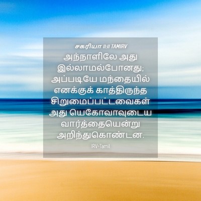 Picture 04 - சகரியா 11:11 TAMIRV - அந்நாளிலே அது - Bible Verse Picture