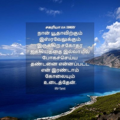 Picture 04 - சகரியா 11:14 TAMIRV - நான் யூதாவிற்கும் - Bible Verse Picture