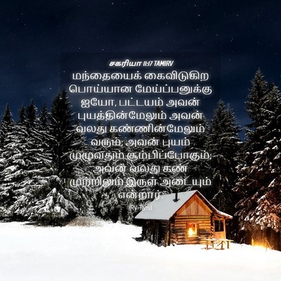 Picture 04 - சகரியா 11:17 TAMIRV - மந்தையைக் - Bible Verse Picture