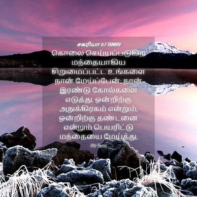 Picture 04 - சகரியா 11:7 TAMIRV - கொலை - Bible Verse Picture