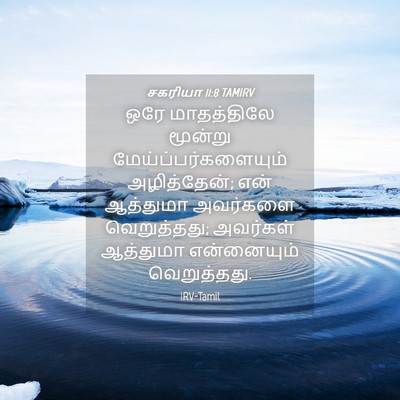 Picture 04 - சகரியா 11:8 TAMIRV - ஒரே மாதத்திலே - Bible Verse Picture
