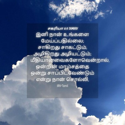 Picture 04 - சகரியா 11:9 TAMIRV - இனி நான் உங்களை - Bible Verse Picture