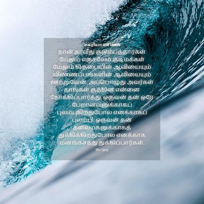 Picture 04 - சகரியா 12:10 TAMIRV - நான் தாவீது - Bible Verse Picture