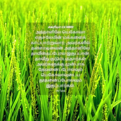 Picture 04 - சகரியா 12:8 TAMIRV - அந்நாளிலே யெகோவா - Bible Verse Picture