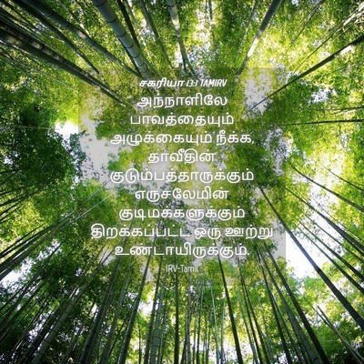 Picture 04 - சகரியா 13:1 TAMIRV - அந்நாளிலே - Bible Verse Picture