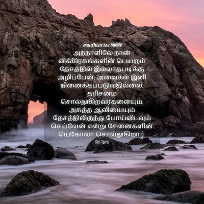 Picture 04 - சகரியா 13:2 TAMIRV - அந்நாளிலே நான் - Bible Verse Picture