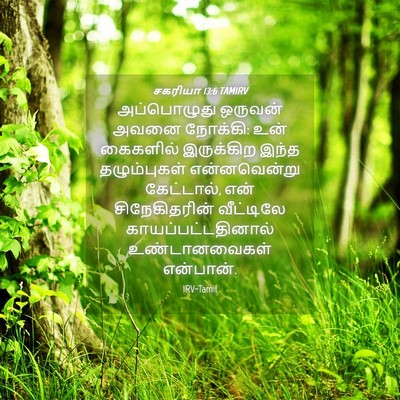 Picture 04 - சகரியா 13:6 TAMIRV - அப்பொழுது ஒருவன் - Bible Verse Picture