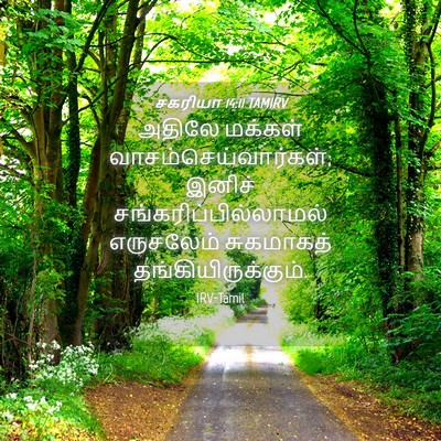 Picture 04 - சகரியா 14:11 TAMIRV - அதிலே மக்கள் - Bible Verse Picture