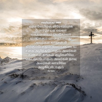 Picture 04 - சகரியா 14:12 TAMIRV - எருசலேமிற்கு - Bible Verse Picture