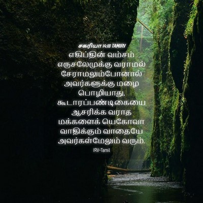 Picture 04 - சகரியா 14:18 TAMIRV - எகிப்தின் வம்சம் - Bible Verse Picture