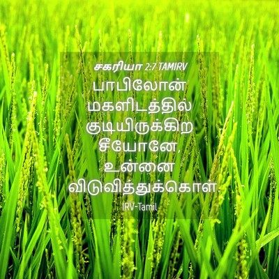 Picture 04 - சகரியா 2:7 TAMIRV - பாபிலோன் - Bible Verse Picture