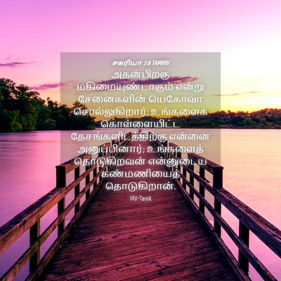 Picture 04 - சகரியா 2:8 TAMIRV - அதன்பிறகு - Bible Verse Picture