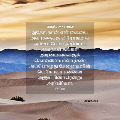Picture 04 - சகரியா 2:9 TAMIRV - இதோ, நான் என் கையை - Bible Verse Picture