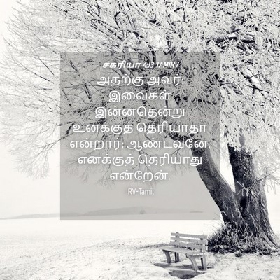 Picture 04 - சகரியா 4:13 TAMIRV - அதற்கு அவர்: - Bible Verse Picture