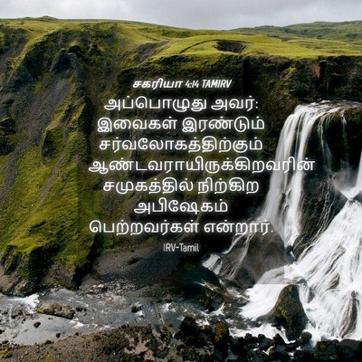 Picture 04 - சகரியா 4:14 TAMIRV - அப்பொழுது அவர்: - Bible Verse Picture