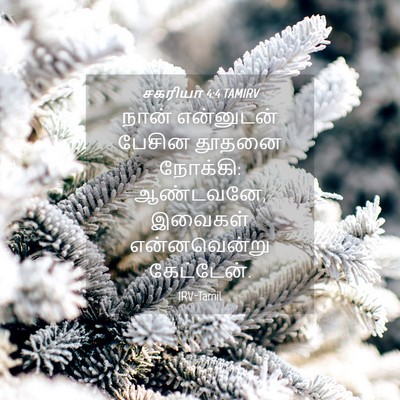 Picture 04 - சகரியா 4:4 TAMIRV - நான் என்னுடன் - Bible Verse Picture