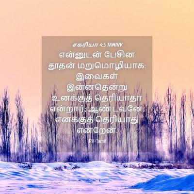 Picture 04 - சகரியா 4:5 TAMIRV - என்னுடன் பேசின - Bible Verse Picture