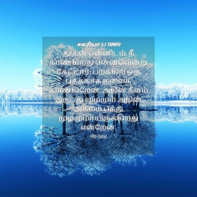 Picture 04 - சகரியா 5:2 TAMIRV - தூதன் என்னிடம், நீ - Bible Verse Picture