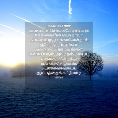 Picture 04 - சகரியா 6:12 TAMIRV - அவனுடன் - Bible Verse Picture