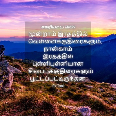 Picture 04 - சகரியா 6:3 TAMIRV - மூன்றாம் - Bible Verse Picture
