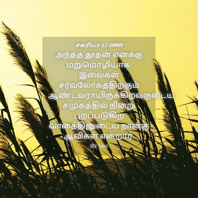Picture 04 - சகரியா 6:5 TAMIRV - அந்தத் தூதன் - Bible Verse Picture