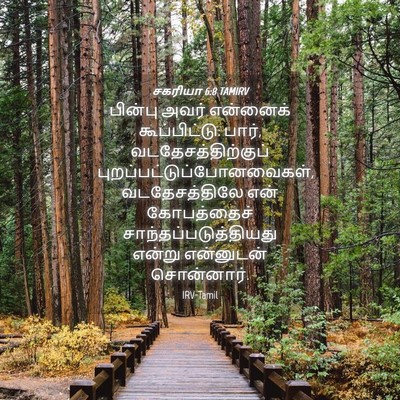 Picture 04 - சகரியா 6:8 TAMIRV - பின்பு அவர் - Bible Verse Picture