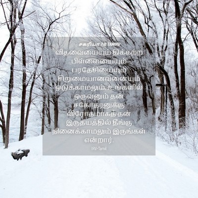 Picture 04 - சகரியா 7:10 TAMIRV - விதவையையும் - Bible Verse Picture