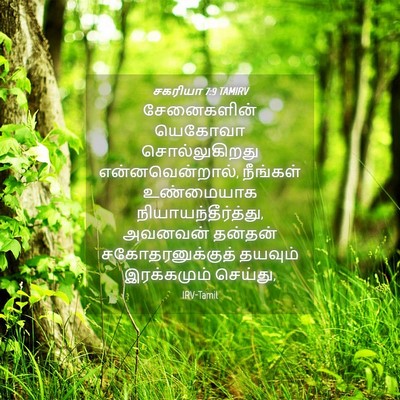 Picture 04 - சகரியா 7:9 TAMIRV - சேனைகளின் யெகோவா - Bible Verse Picture