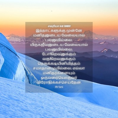 Picture 04 - சகரியா 8:10 TAMIRV - இந்நாட்களுக்கு - Bible Verse Picture