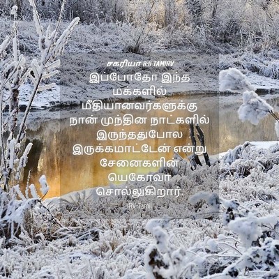 Picture 04 - சகரியா 8:11 TAMIRV - இப்போதோ இந்த - Bible Verse Picture
