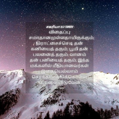 Picture 04 - சகரியா 8:12 TAMIRV - விதைப்பு - Bible Verse Picture