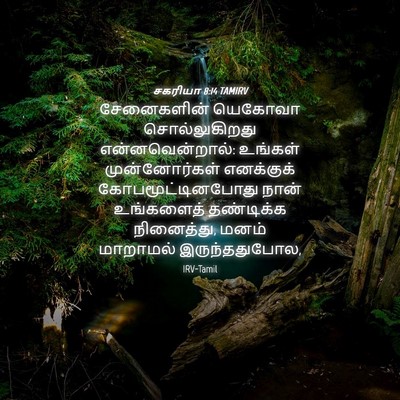 Picture 04 - சகரியா 8:14 TAMIRV - சேனைகளின் யெகோவா - Bible Verse Picture