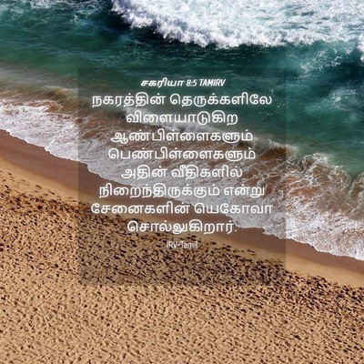 Picture 04 - சகரியா 8:5 TAMIRV - நகரத்தின் - Bible Verse Picture