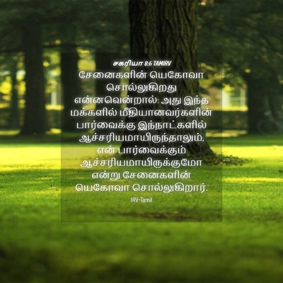 Picture 04 - சகரியா 8:6 TAMIRV - சேனைகளின் யெகோவா - Bible Verse Picture