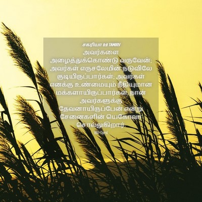 Picture 04 - சகரியா 8:8 TAMIRV - அவர்களை - Bible Verse Picture