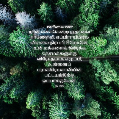 Picture 04 - சகரியா 9:13 TAMIRV - நான் எனக்கென்று - Bible Verse Picture