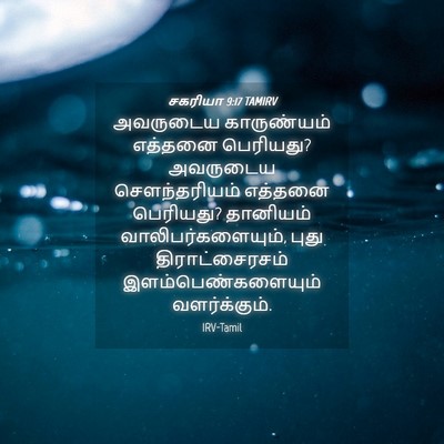 Picture 04 - சகரியா 9:17 TAMIRV - அவருடைய காருண்யம் - Bible Verse Picture
